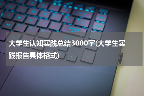 大学生认知实践总结3000字(大学生实践报告具体格式)