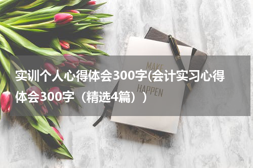 实训个人心得体会300字(会计实习心得体会300字（精选4篇）)