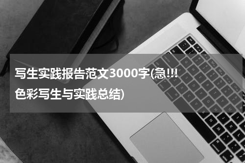 写生实践报告范文3000字(急!!! 色彩写生与实践总结)