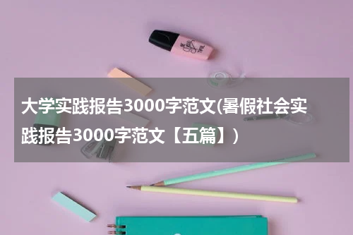 大学实践报告3000字范文(暑假社会实践报告3000字范文【五篇】)