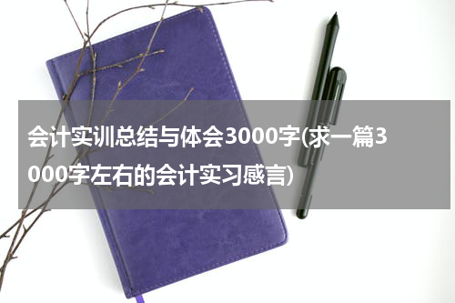 会计实训总结与体会3000字(求一篇3000字左右的会计实习感言)