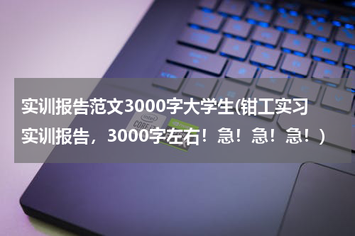 实训报告范文3000字大学生(钳工实习实训报告，3000字左右！急！急！急！)