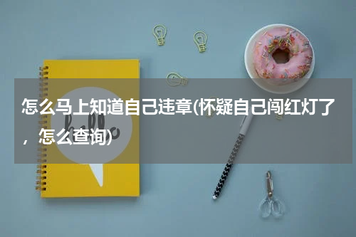 怎么马上知道自己违章(怀疑自己闯红灯了，怎么查询)