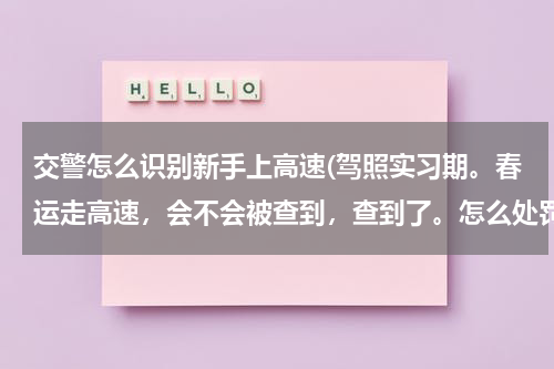交警怎么识别新手上高速(驾照实习期。春运走高速，会不会被查到，查到了。怎么处罚的)
