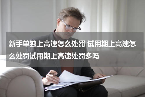 新手单独上高速怎么处罚 试用期上高速怎么处罚试用期上高速处罚多吗