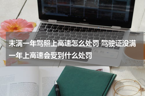 未满一年驾照上高速怎么处罚 驾驶证没满一年上高速会受到什么处罚