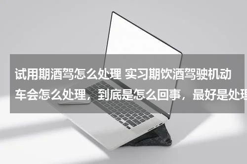 试用期酒驾怎么处理 实习期饮酒驾驶机动车会怎么处理，到底是怎么回事，最好是处理过的解答，别发那些法律明文规定，里面没有针对实习期的