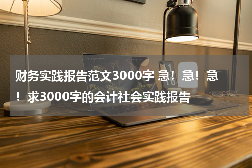 财务实践报告范文3000字 急！急！急！求3000字的会计社会实践报告