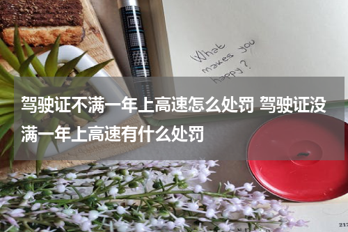 驾驶证不满一年上高速怎么处罚 驾驶证没满一年上高速有什么处罚