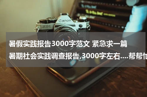 暑假实践报告3000字范文 紧急求一篇暑期社会实践调查报告,3000字左右....帮帮忙吖!!!要改改就能用的...