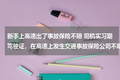 新手上高速出了事故保险不赔 司机实习期驾驶证，在高速上发生交通事故保险公司不赔司机和车主遭到起诉怎么办，分别承担什么责任