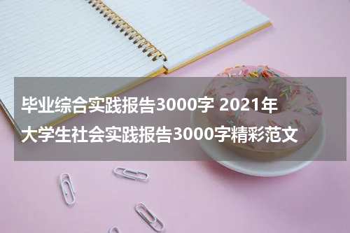 毕业综合实践报告3000字 2021年大学生社会实践报告3000字精彩范文