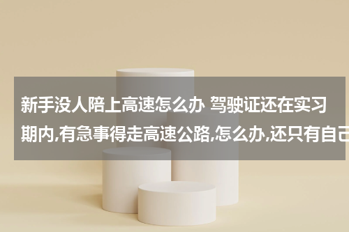 新手没人陪上高速怎么办 驾驶证还在实习期内,有急事得走高速公路,怎么办,还只有自己一个人？