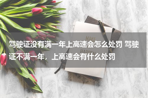 驾驶证没有满一年上高速会怎么处罚 驾驶证不满一年，上高速会有什么处罚