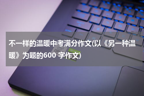 不一样的温暖中考满分作文(以《另一种温暖》为题的600 字作文)