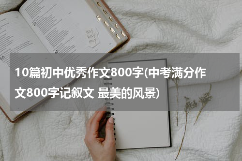 10篇初中优秀作文800字(中考满分作文800字记叙文 最美的风景)