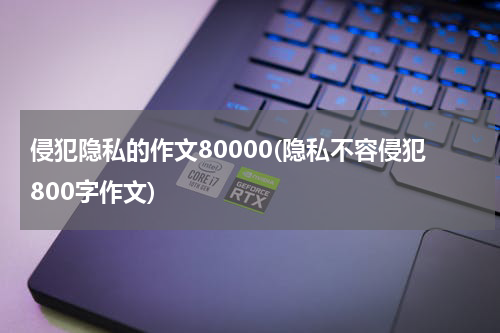 侵犯隐私的作文80000(隐私不容侵犯800字作文)
