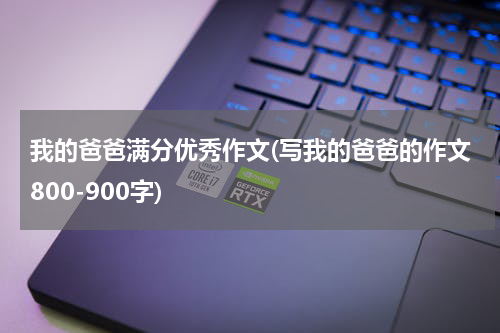 我的爸爸满分优秀作文(写我的爸爸的作文800-900字)