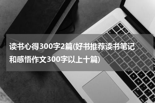 读书心得300字2篇(好书推荐读书笔记和感悟作文300字以上十篇)