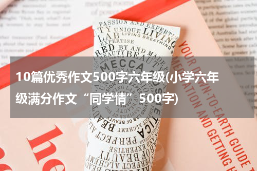 10篇优秀作文500字六年级(小学六年级满分作文“同学情”500字)