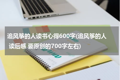 追风筝的人读书心得600字(追风筝的人 读后感 要原创的700字左右)