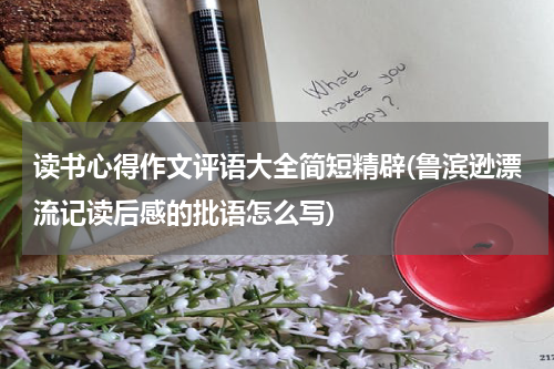 读书心得作文评语大全简短精辟(鲁滨逊漂流记读后感的批语怎么写)