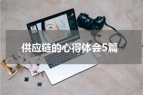 供应链的心得体会5篇