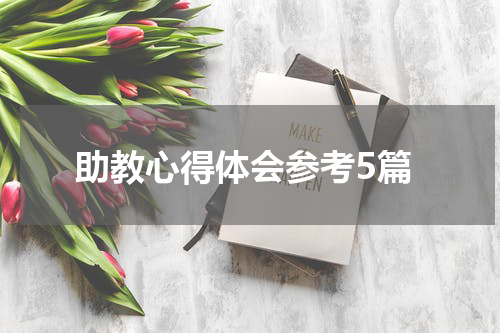 助教心得体会参考5篇