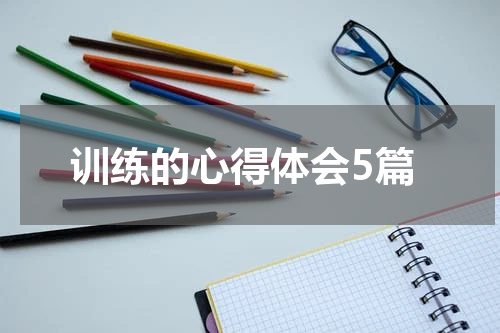 训练的心得体会5篇