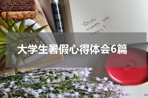 大学生暑假心得体会6篇