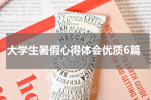 大学生暑假心得体会优质6篇