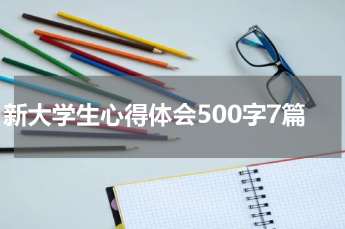 新大学生心得体会500字7篇