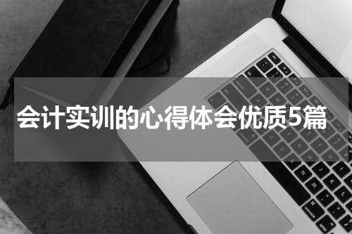 会计实训的心得体会优质5篇