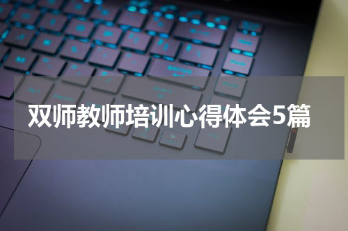 双师教师培训心得体会5篇