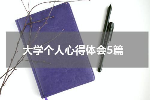 大学个人心得体会5篇