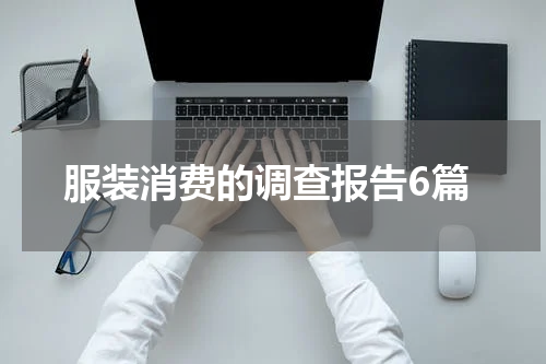 服装消费的调查报告6篇