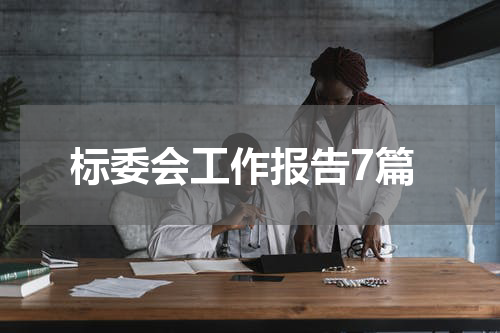 标委会工作报告7篇