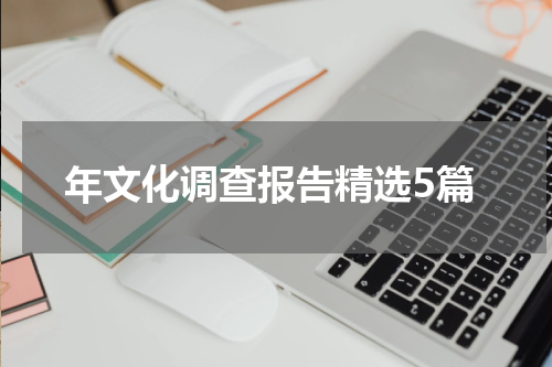 年文化调查报告精选5篇
