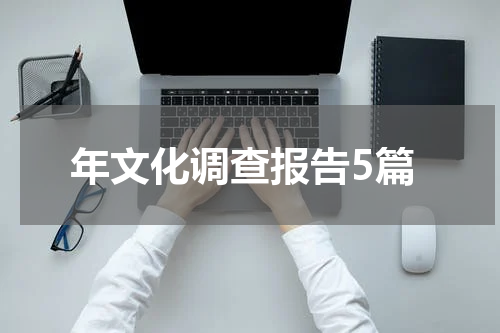 年文化调查报告5篇