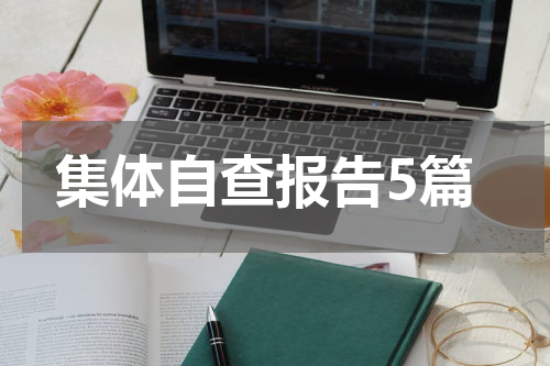 集体自查报告5篇