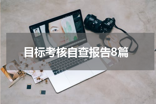 目标考核自查报告8篇