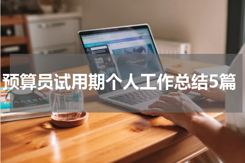 预算员试用期个人工作总结5篇