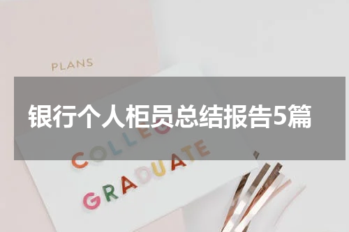 银行个人柜员总结报告5篇