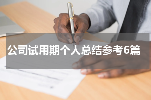 公司试用期个人总结参考6篇