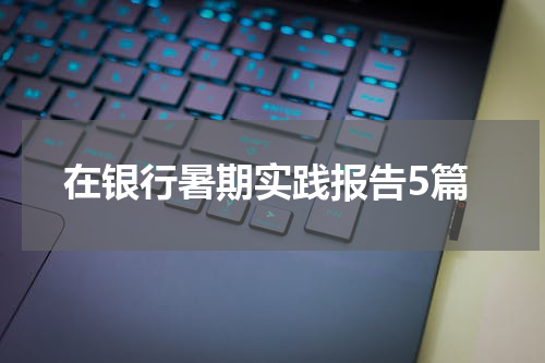 在银行暑期实践报告5篇