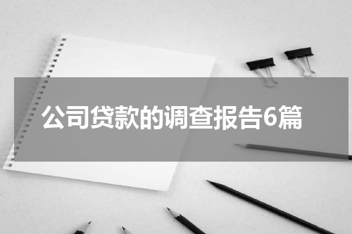 公司贷款的调查报告6篇