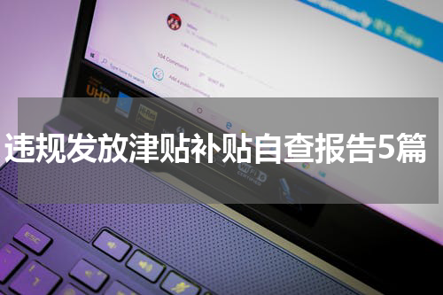 违规发放津贴补贴自查报告5篇