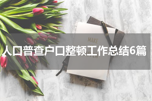 人口普查户口整顿工作总结6篇