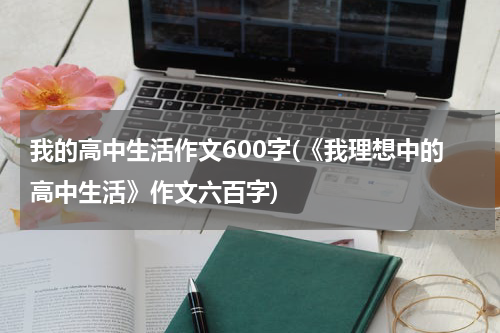 我的高中生活作文600字(《我理想中的高中生活》作文六百字)