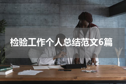 检验工作个人总结范文6篇